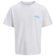 Jack & Jones Ανδρική κοντομάνικη μπλούζα Jornantucket Script Chest Crew Neck T-Shirt